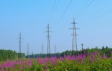 Новые летние максимумы потребления электрической мощности зафиксированы в ОЭС Сибири 